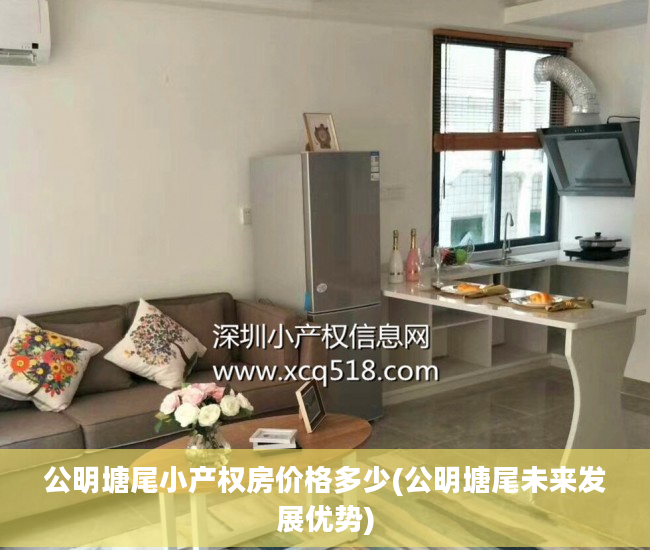 公明塘尾小产权房价格多少(公明塘尾未来发展优势)