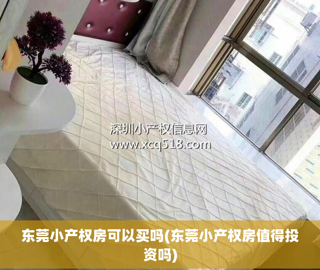 东莞小产权房可以买吗(东莞小产权房值得投资吗)