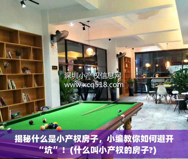 揭秘什么是小产权房子，小编教你如何避开“坑”！(什么叫小产权的房子?)