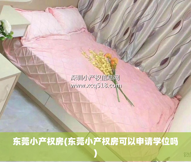 东莞小产权房(东莞小产权房可以申请学位吗)