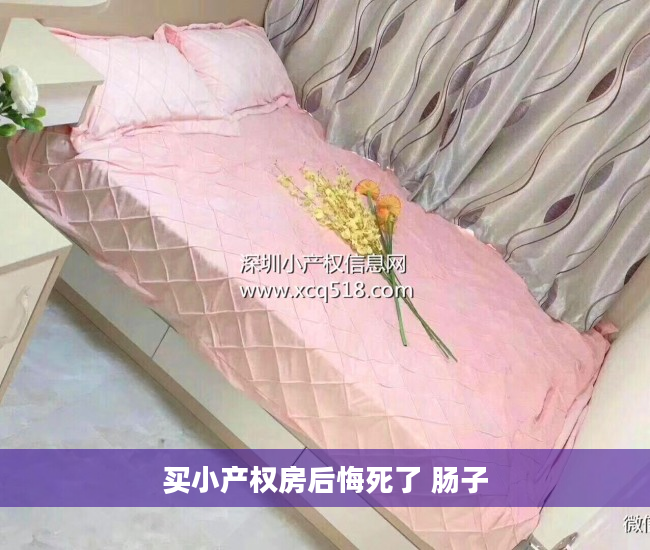 买小产权房后悔死了 肠子
