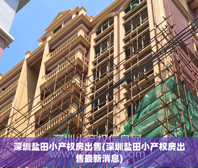 深圳盐田小产权房出售(深圳盐田小产权房出售最新消息)