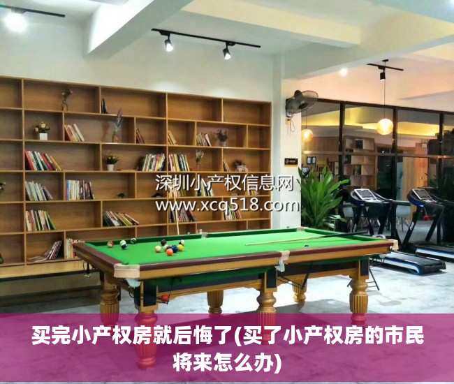 买完小产权房就后悔了(买了小产权房的市民将来怎么办)