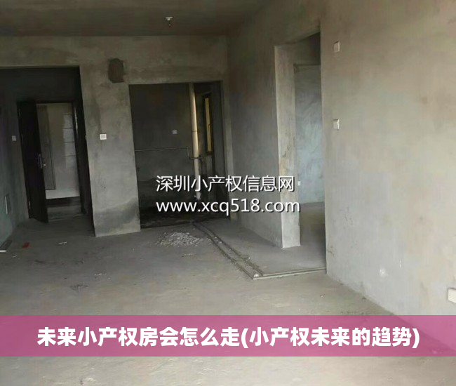 未来小产权房会怎么走(小产权未来的趋势)