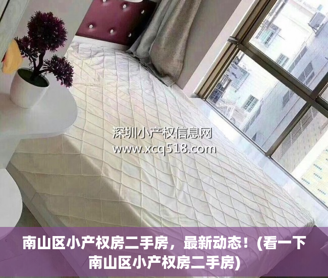 南山区小产权房二手房，最新动态！(看一下南山区小产权房二手房)