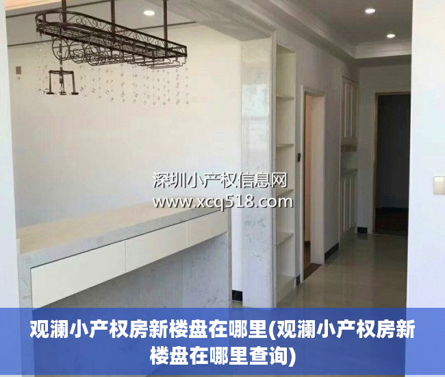 观澜小产权房新楼盘在哪里(观澜小产权房新楼盘在哪里查询)