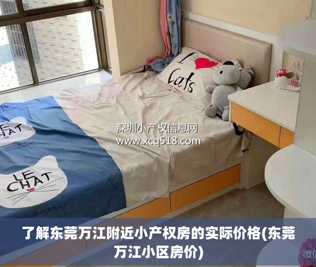 了解东莞万江附近小产权房的实际价格(东莞万江小区房价)