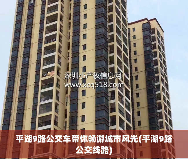平湖9路公交车带你畅游城市风光(平湖9路公交线路)