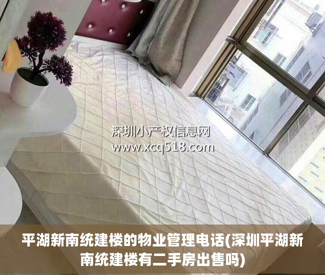 平湖新南统建楼的物业管理电话(深圳平湖新南统建楼有二手房出售吗)