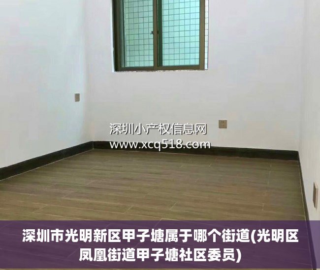 深圳市光明新区甲子塘属于哪个街道(光明区凤凰街道甲子塘社区委员)