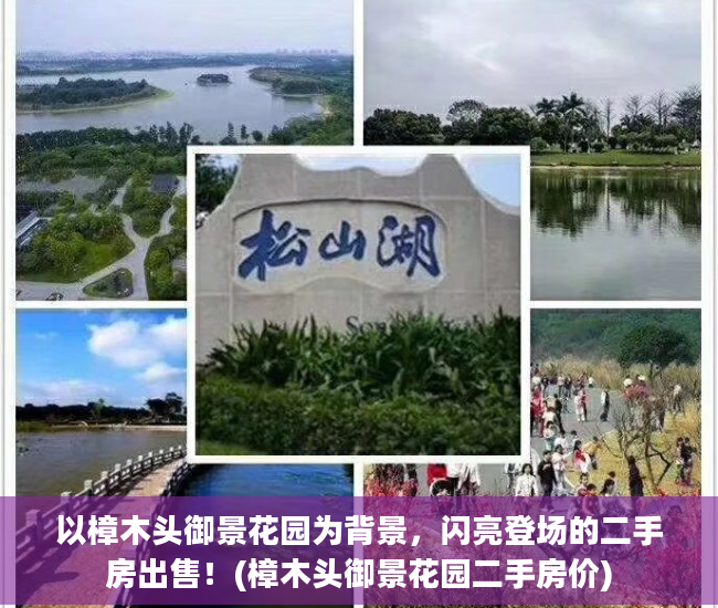 以樟木头御景花园为背景，闪亮登场的二手房出售！(樟木头御景花园二手房价)