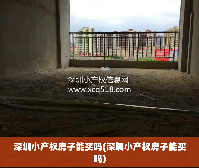深圳小产权房子能买吗(深圳小产权房子能买吗)