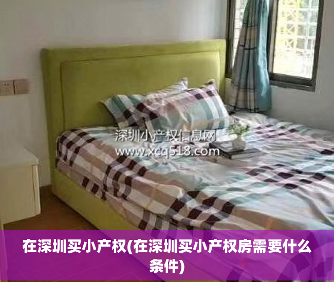 在深圳买小产权(在深圳买小产权房需要什么条件)