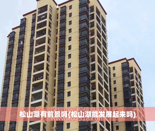 松山湖有前景吗(松山湖能发展起来吗)