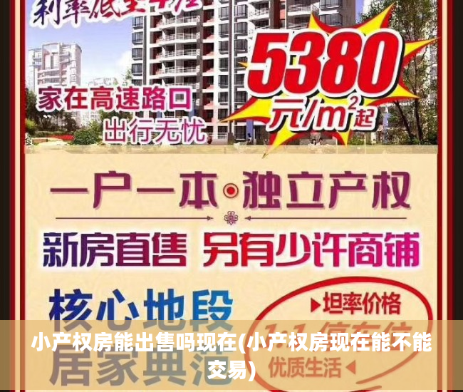 小产权房能出售吗现在(小产权房现在能不能交易)