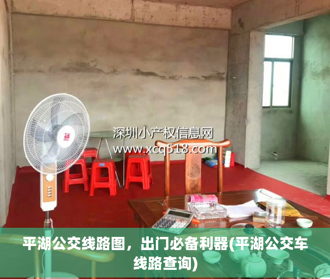平湖公交线路图，出门必备利器(平湖公交车线路查询)