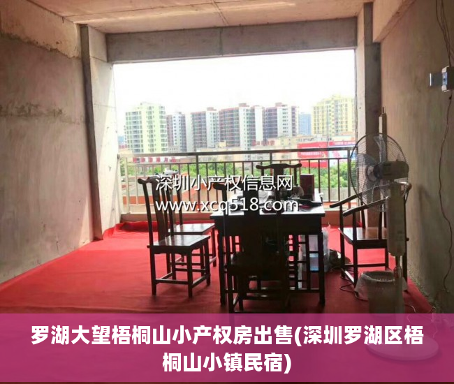 罗湖大望梧桐山小产权房出售(深圳罗湖区梧桐山小镇民宿)