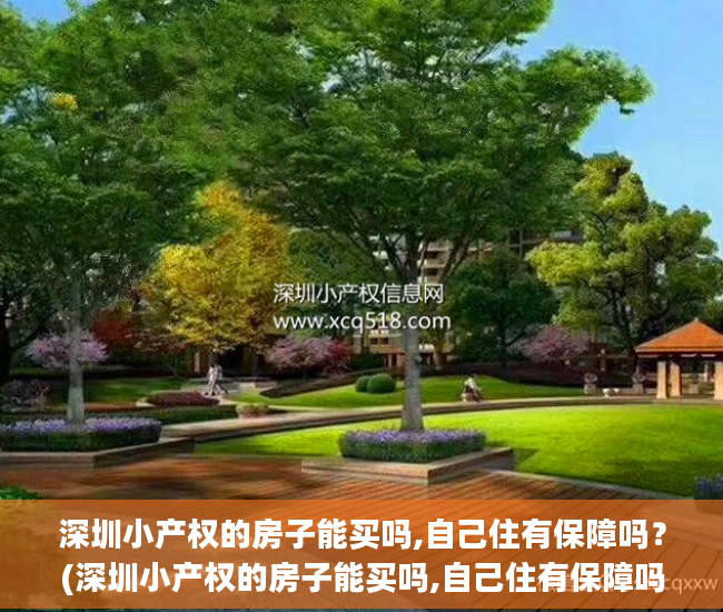 深圳小产权的房子能买吗,自己住有保障吗？(深圳小产权的房子能买吗,自己住有保障吗)