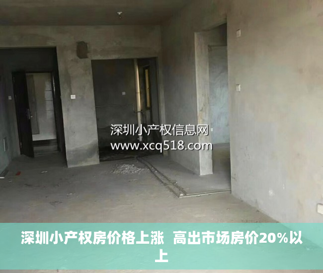 深圳小产权房价格上涨  高出市场房价20%以上