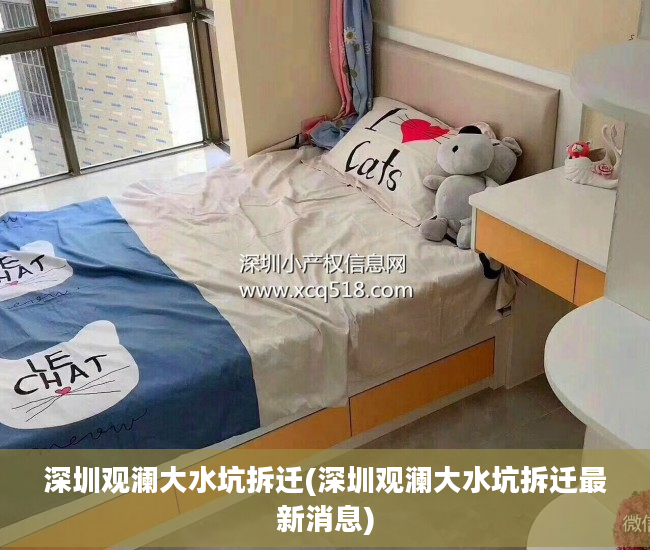 深圳观澜大水坑拆迁(深圳观澜大水坑拆迁最新消息)