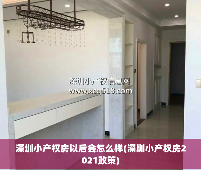 深圳小产权房以后会怎么样(深圳小产权房2021政策)