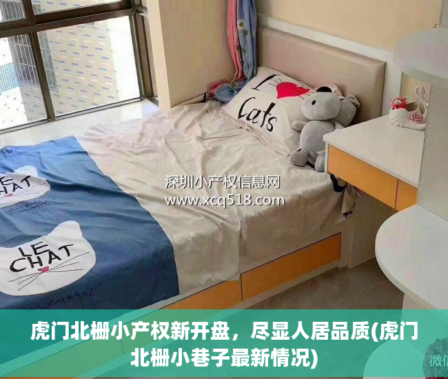 虎门北栅小产权新开盘，尽显人居品质(虎门北栅小巷子最新情况)