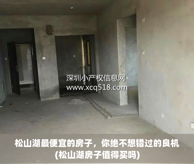 松山湖最便宜的房子，你绝不想错过的良机(松山湖房子值得买吗)