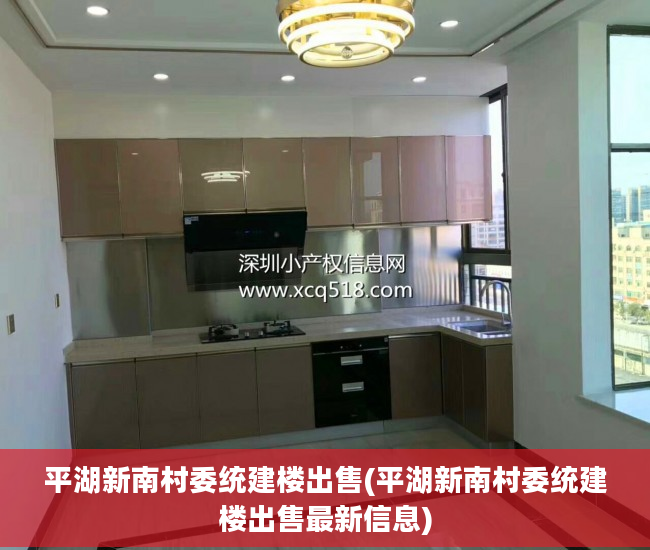 平湖新南村委统建楼出售(平湖新南村委统建楼出售最新信息)