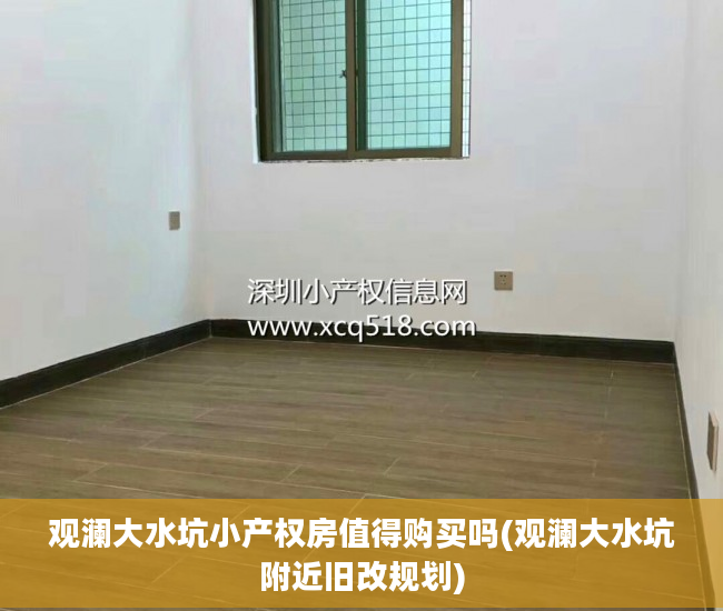 观澜大水坑小产权房值得购买吗(观澜大水坑附近旧改规划)
