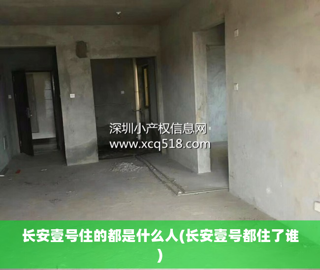 长安壹号住的都是什么人(长安壹号都住了谁)