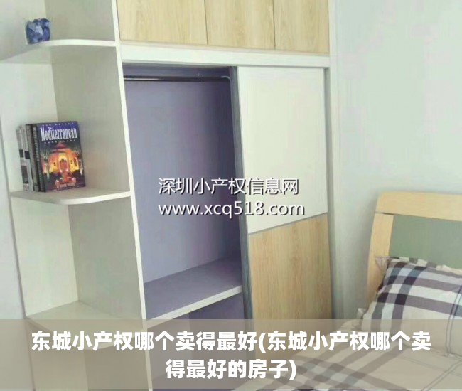 东城小产权哪个卖得最好(东城小产权哪个卖得最好的房子)