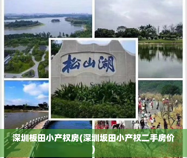 深圳板田小产权房(深圳坂田小产权二手房价)