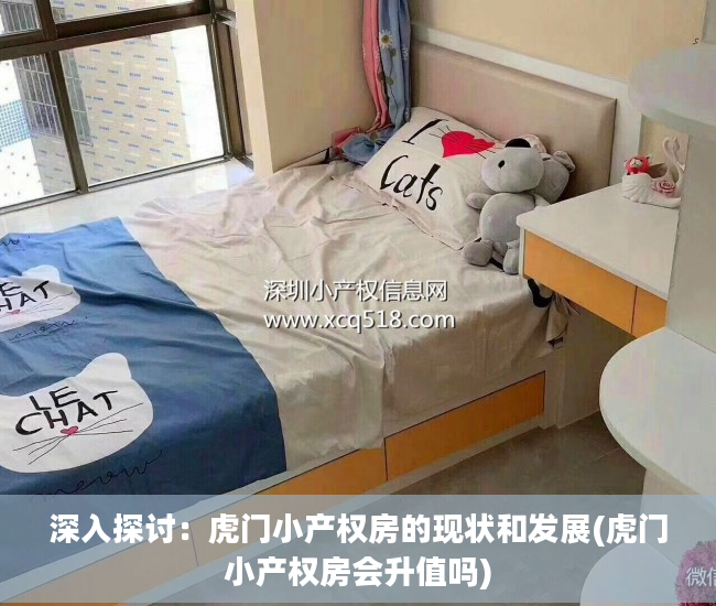 深入探讨：虎门小产权房的现状和发展(虎门小产权房会升值吗)