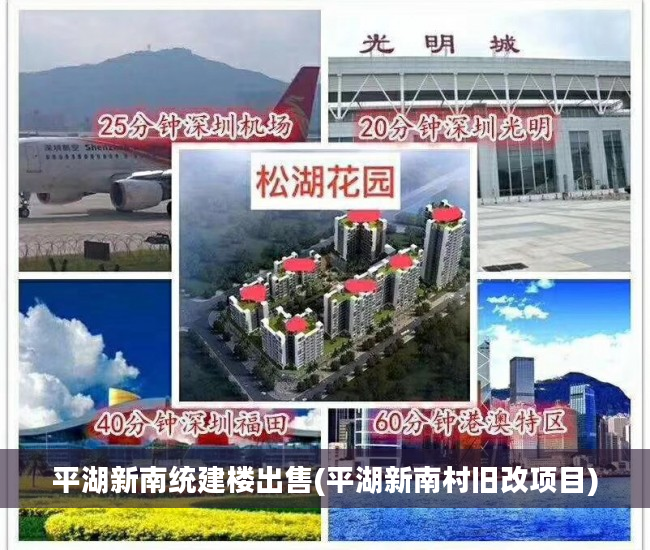 平湖新南统建楼出售(平湖新南村旧改项目)
