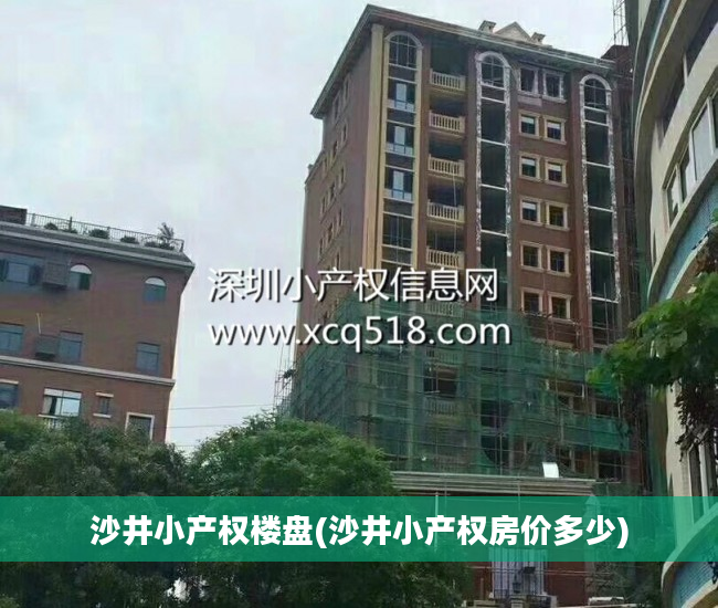 沙井小产权楼盘(沙井小产权房价多少)
