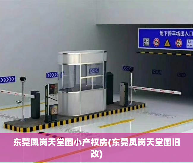 东莞凤岗天堂围小产权房(东莞凤岗天堂围旧改)