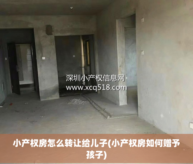 小产权房怎么转让给儿子(小产权房如何赠予孩子)