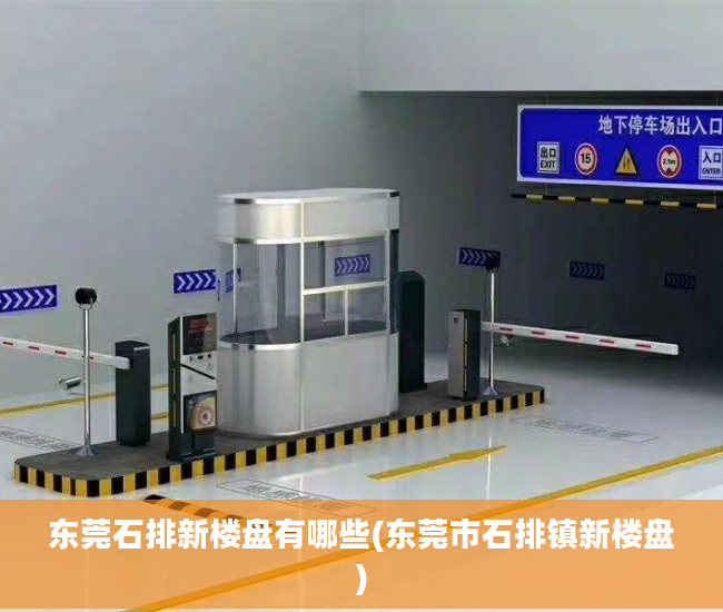 东莞石排新楼盘有哪些(东莞市石排镇新楼盘)