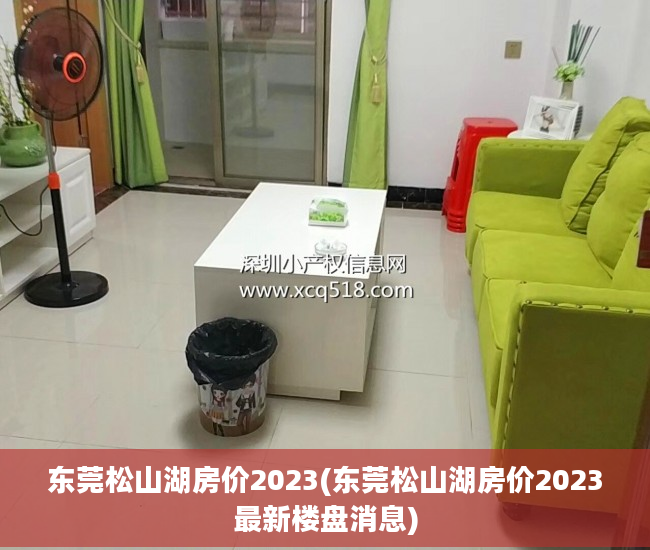 东莞松山湖房价2023(东莞松山湖房价2023最新楼盘消息)