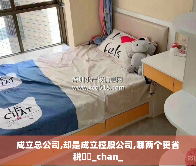 成立总公司,却是成立控股公司,哪两个更省税⁉️_chan_