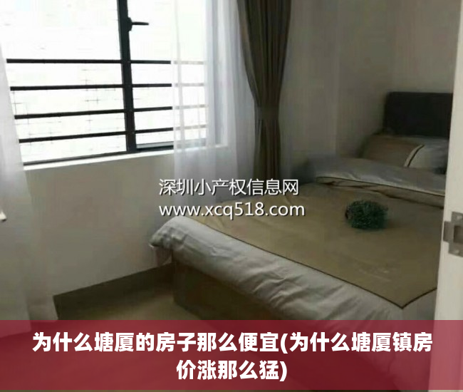 为什么塘厦的房子那么便宜(为什么塘厦镇房价涨那么猛)
