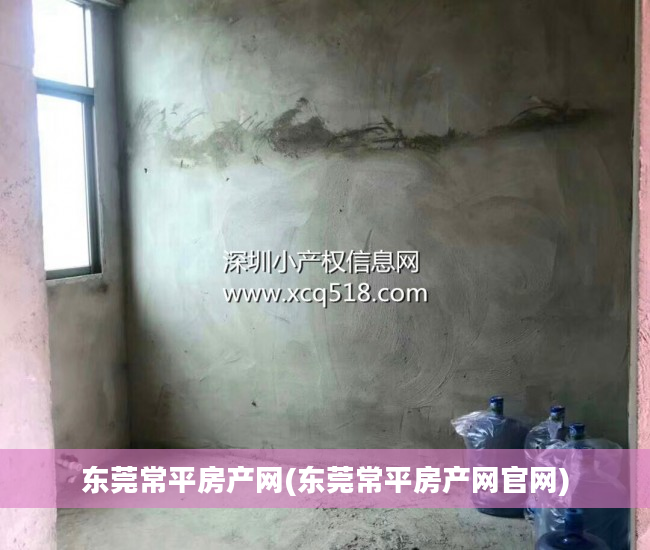 东莞常平房产网(东莞常平房产网官网)
