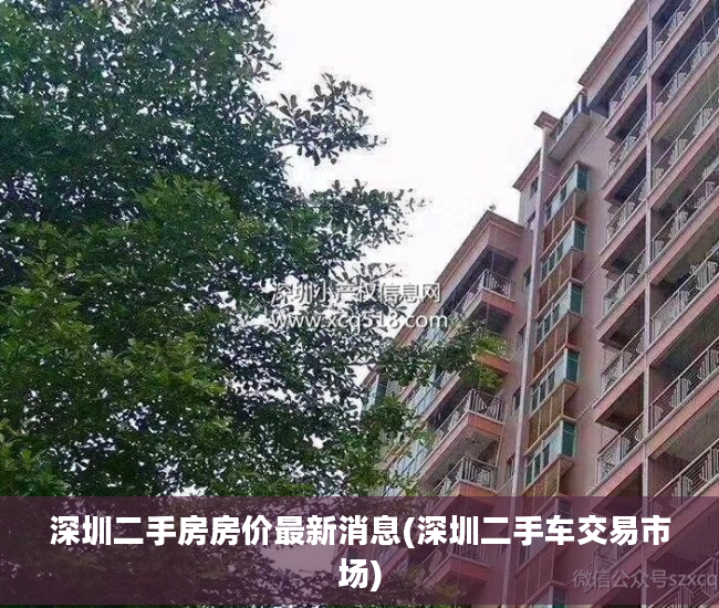 深圳二手房房价最新消息(深圳二手车交易市场)
