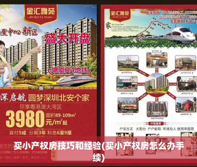 买小产权房技巧和经验(买小产权房怎么办手续)