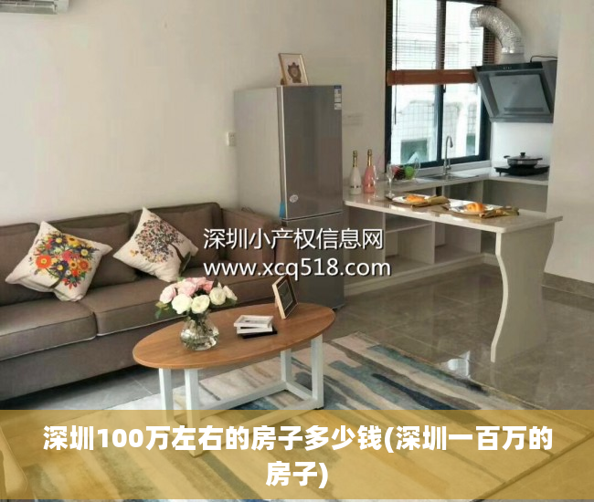 深圳100万左右的房子多少钱(深圳一百万的房子)