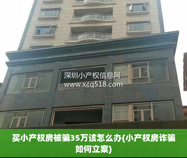 买小产权房被骗35万该怎么办(小产权房诈骗如何立案)