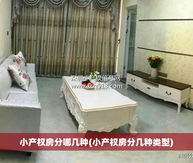 小产权房分哪几种(小产权房分几种类型)
