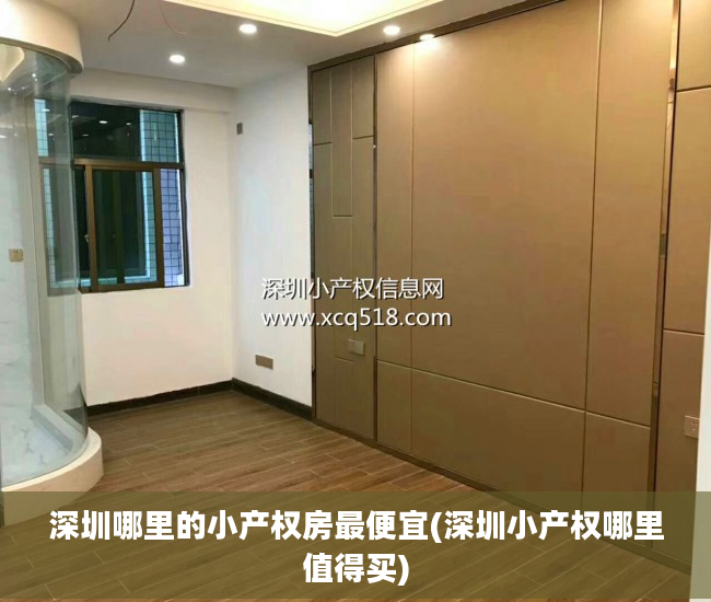 深圳哪里的小产权房最便宜(深圳小产权哪里值得买)