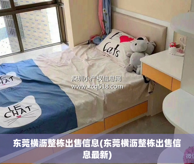 东莞横沥整栋出售信息(东莞横沥整栋出售信息最新)