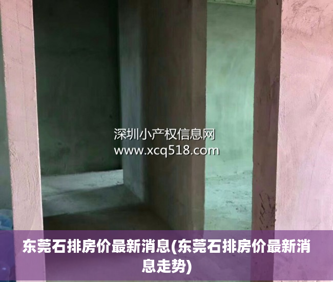 东莞石排房价最新消息(东莞石排房价最新消息走势)